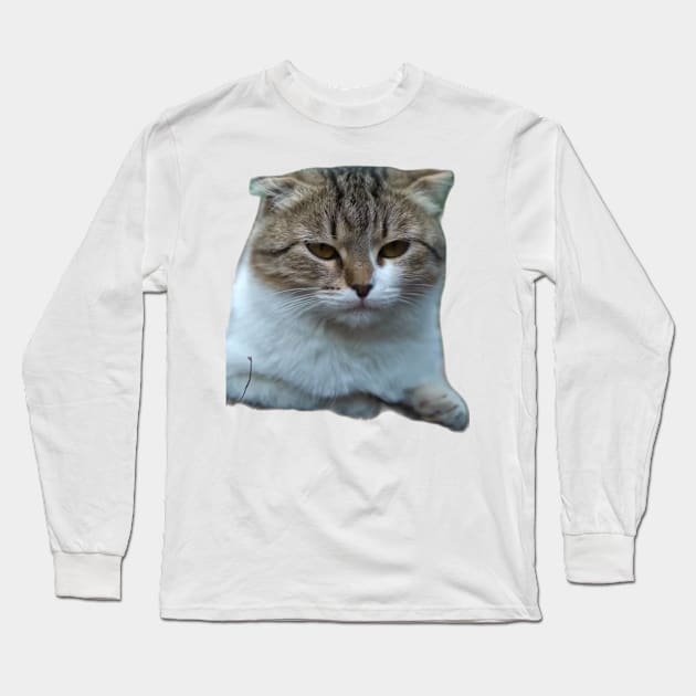 Cats Long Sleeve T-Shirt by DAVT